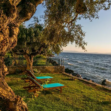Messinian Seaside Avía